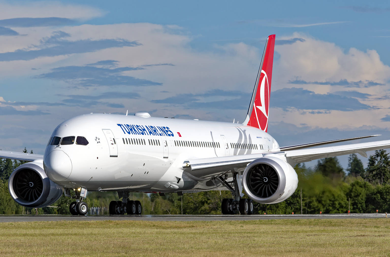 Lamaestosa Bellezza Del Boeing 787-9 Dreamliner Di Turkish Airlines Sfondo
