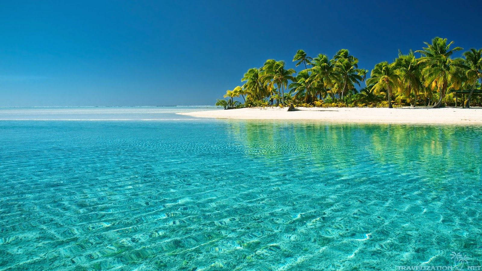 Árbolesde Playa De Turks Y Caicos Fondo de pantalla