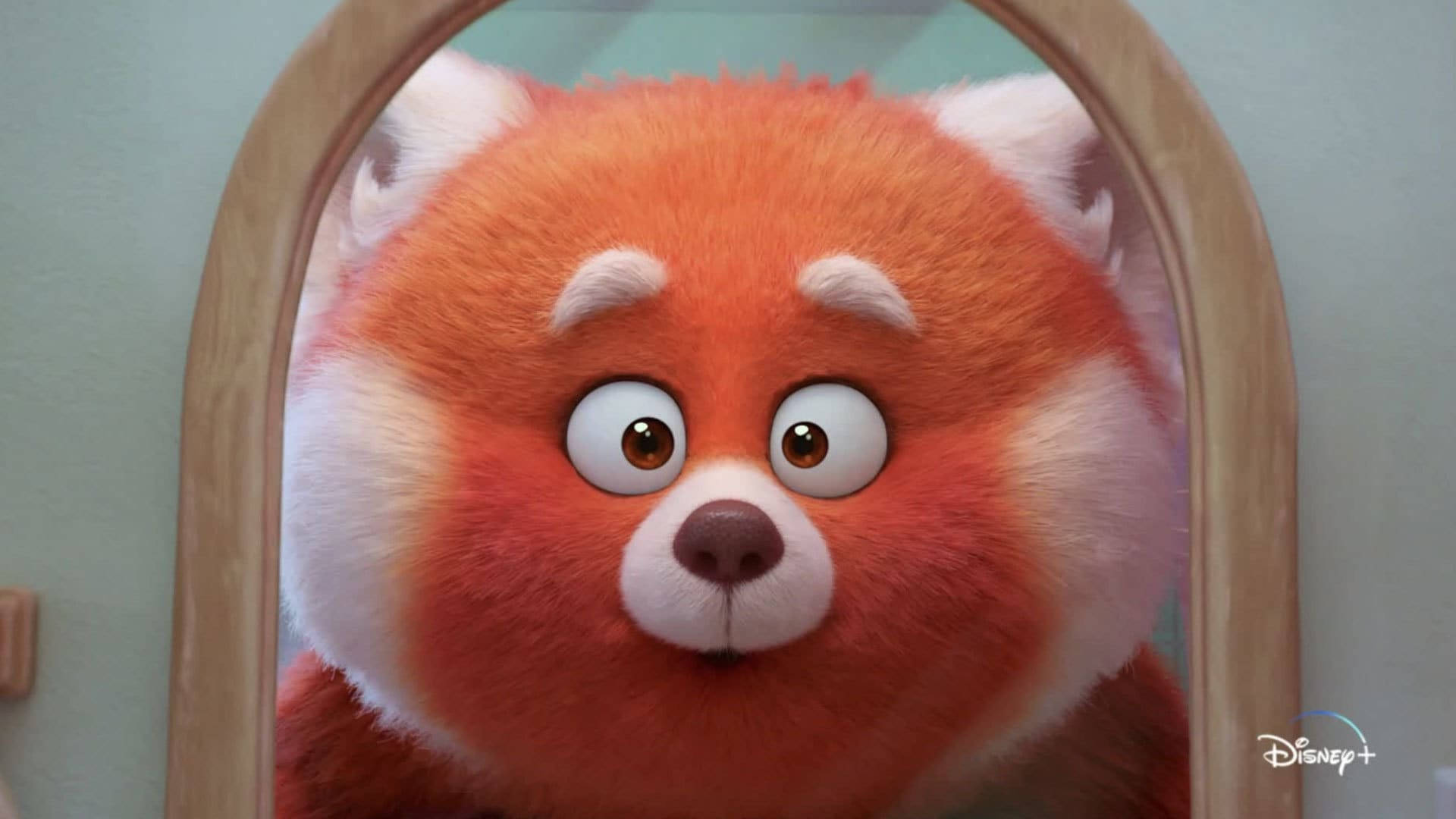 Turning Red Panda In the Mirror Wallpaper