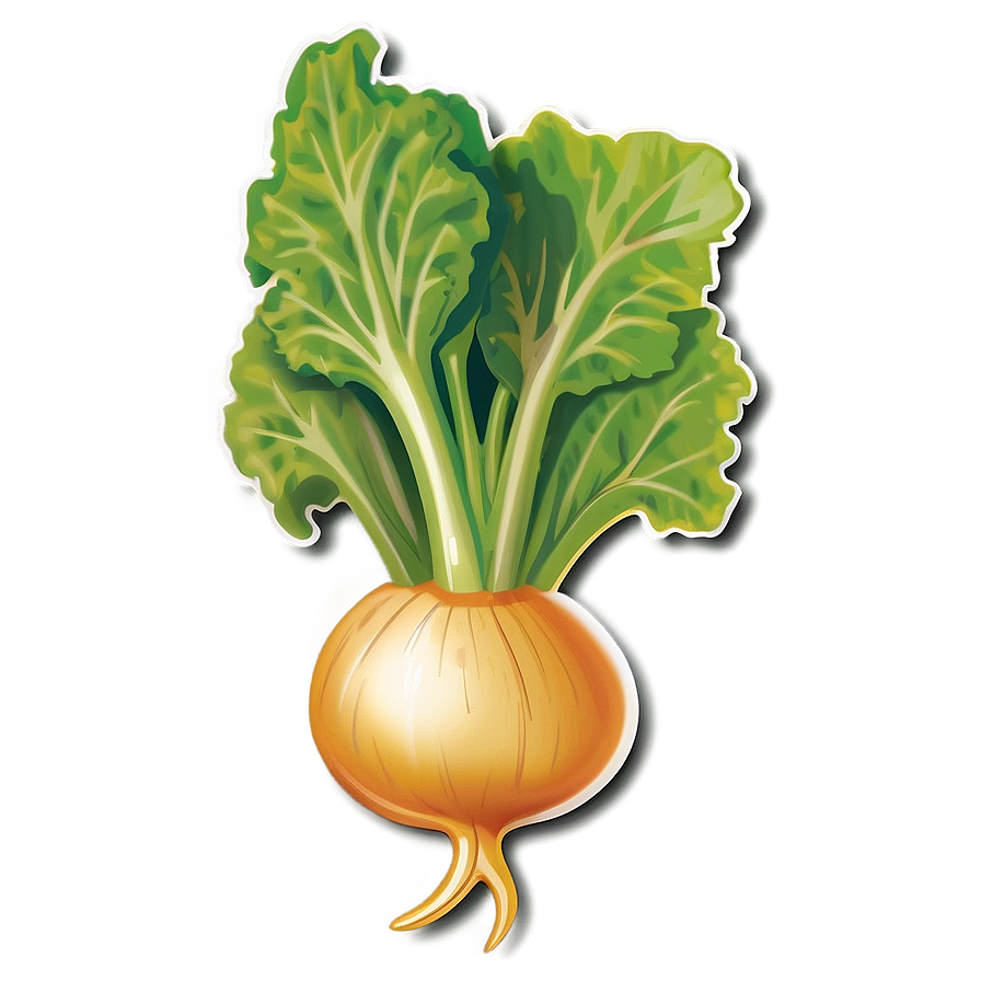 Turnip Badge Png Kjs76 PNG