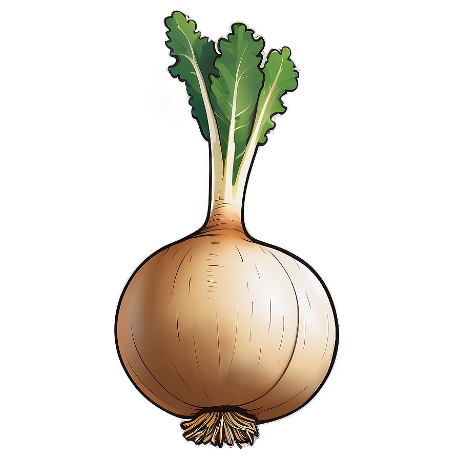 Turnip Vector Png Xpm26 PNG