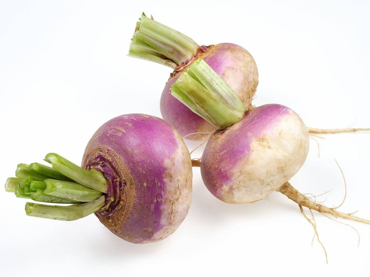 Turnip Without Leaves In White Wallpaper