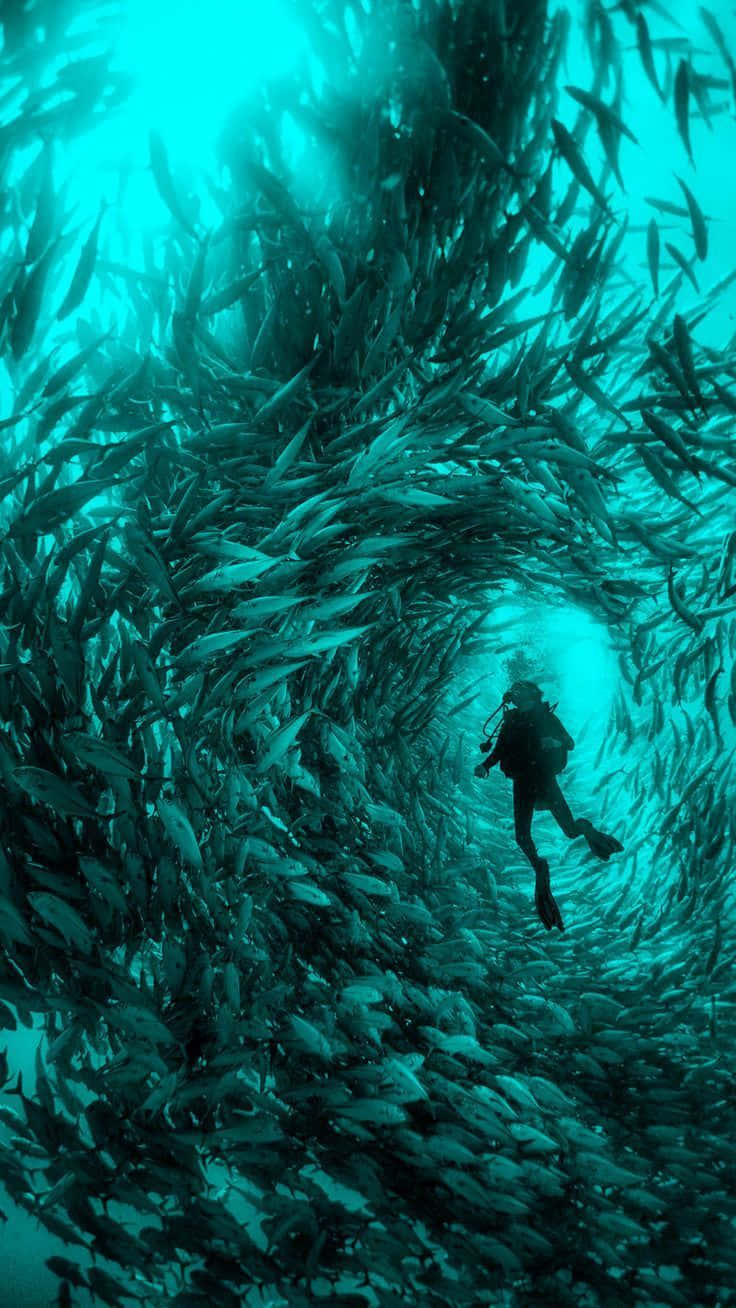 Turquoise Aesthetic Diver Wallpaper