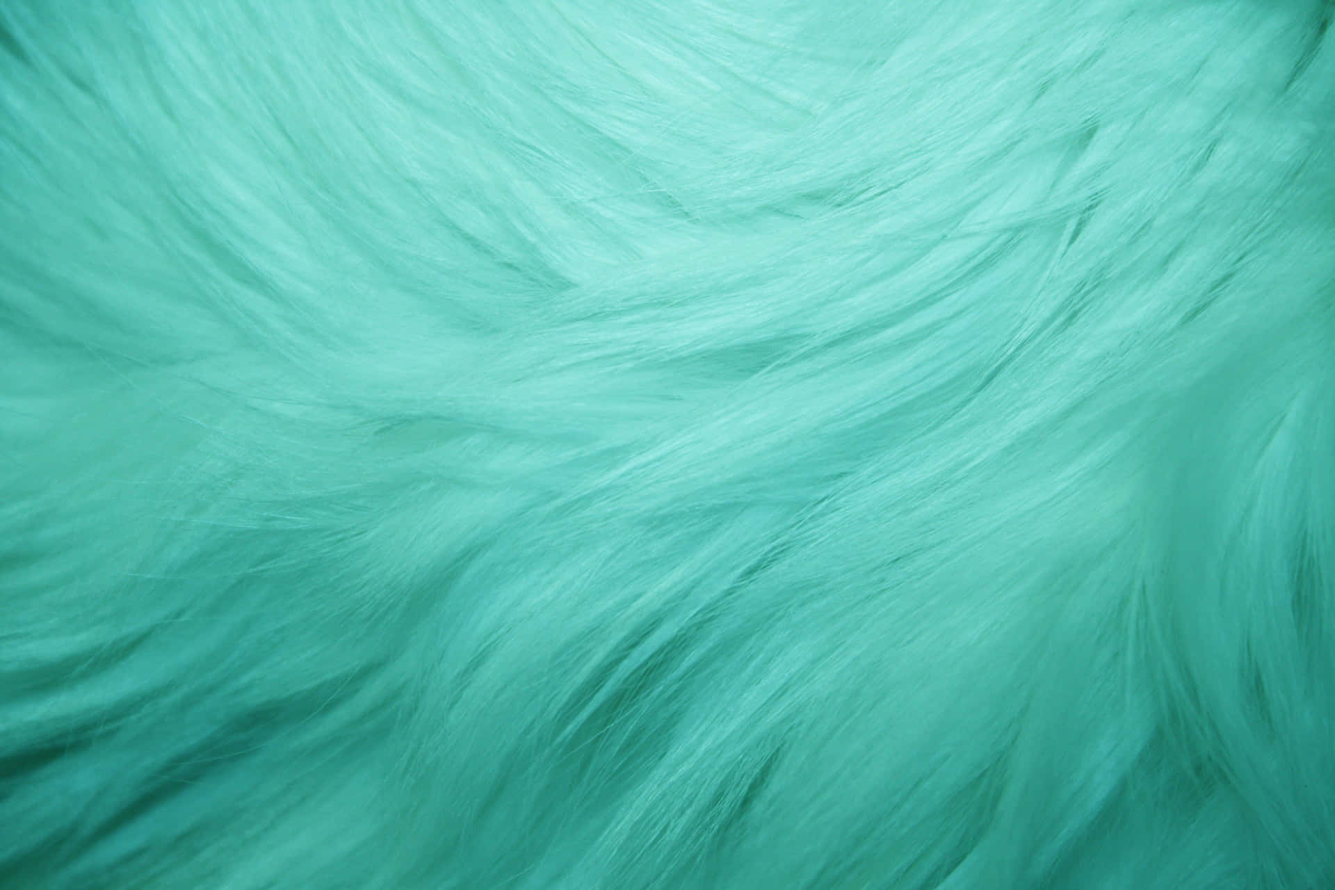 Brighten up any space with this turquoise background.