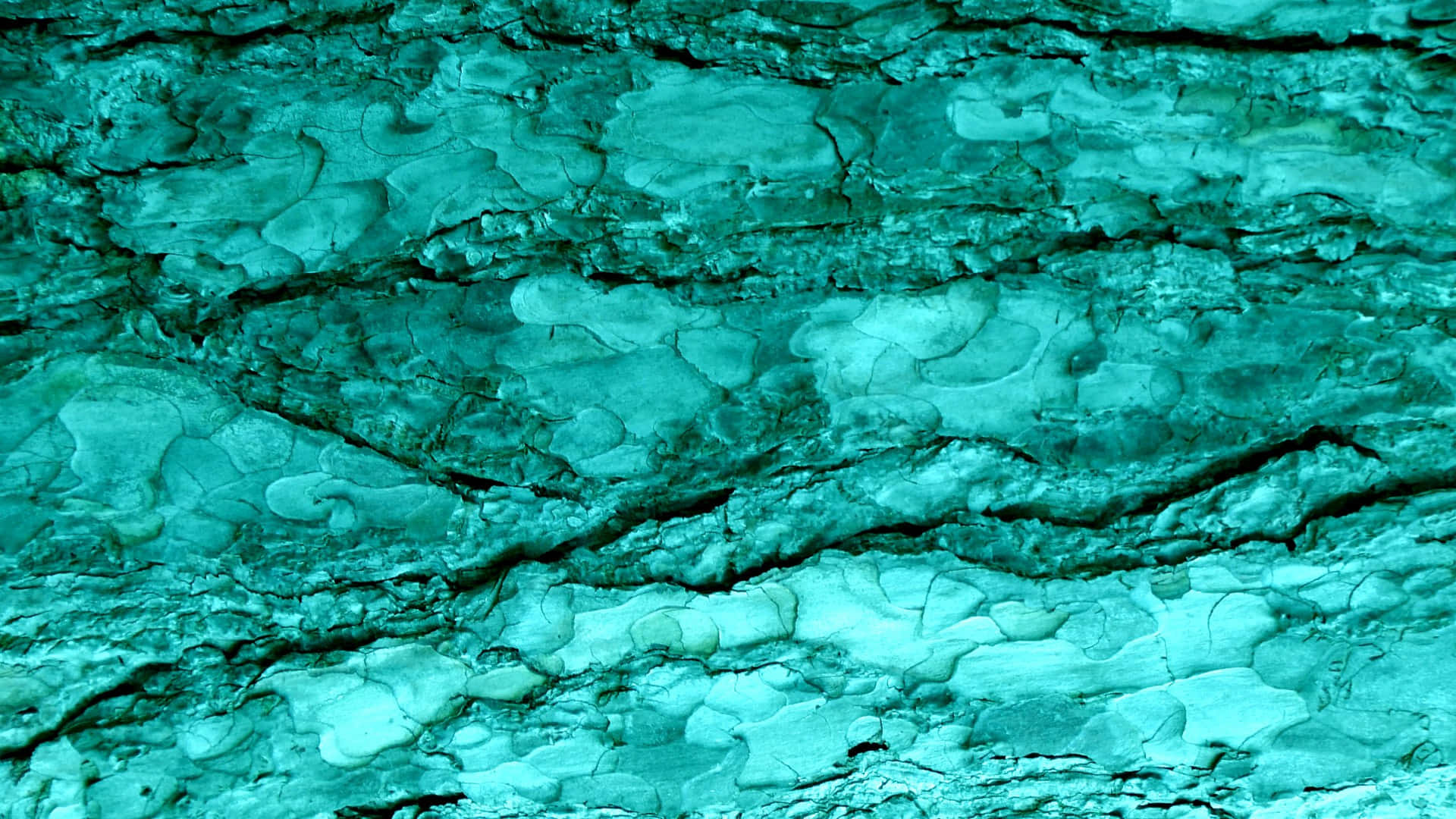 Vibrant Turquoise Blue for a Fresh and Fun Look Wallpaper