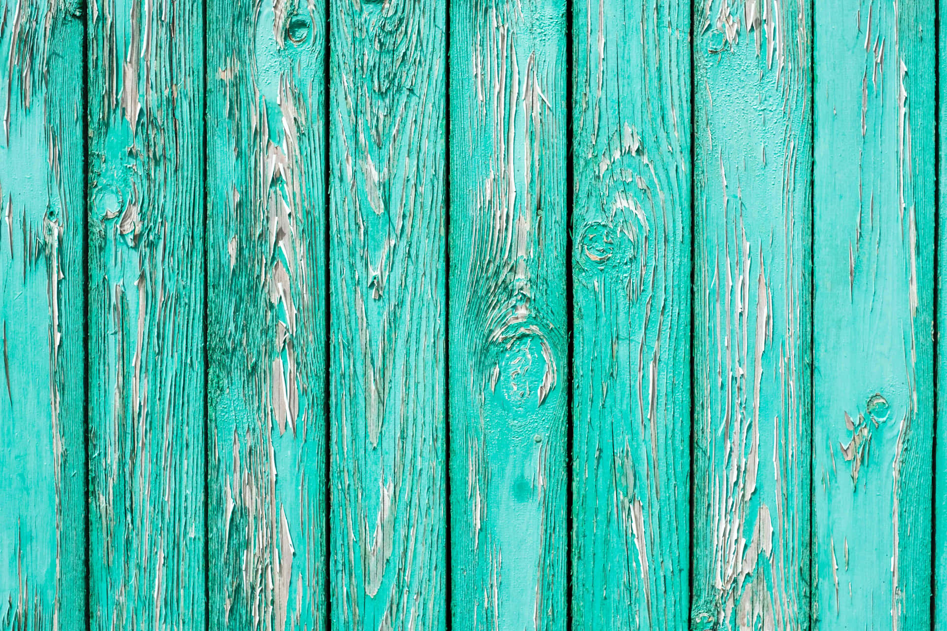 Captivating Turquoise Green Wallpaper Wallpaper