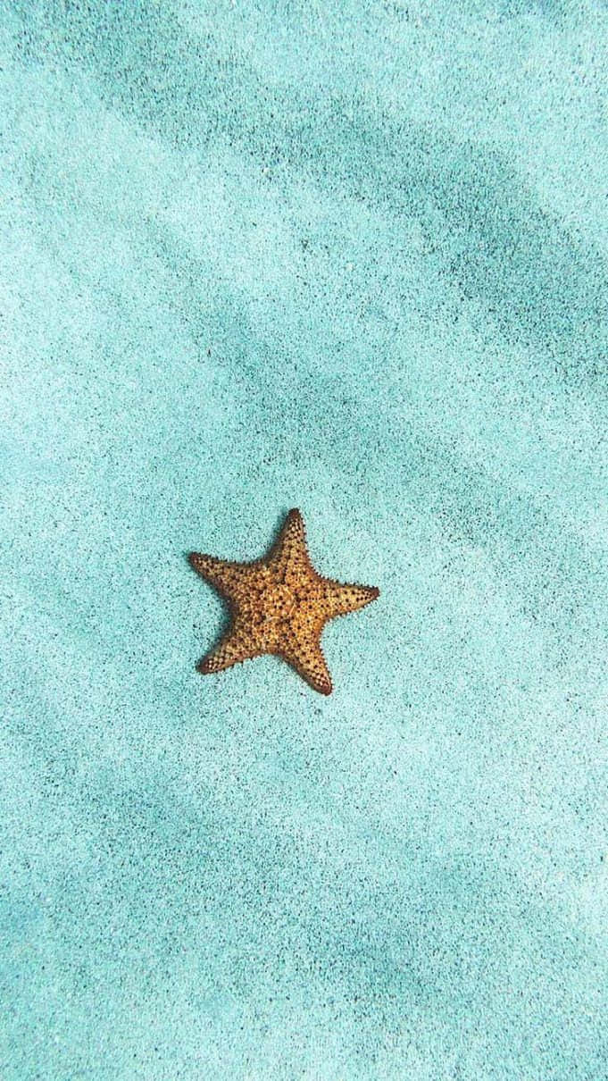 A Starfish Is Floating In The Water Wallpaper