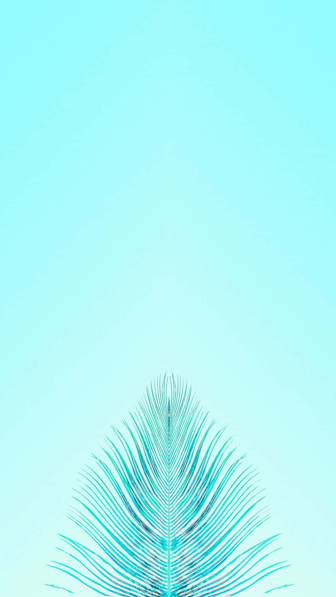 Upgrade the way you take and share photos with this stunning Turquoise iPhone. Wallpaper