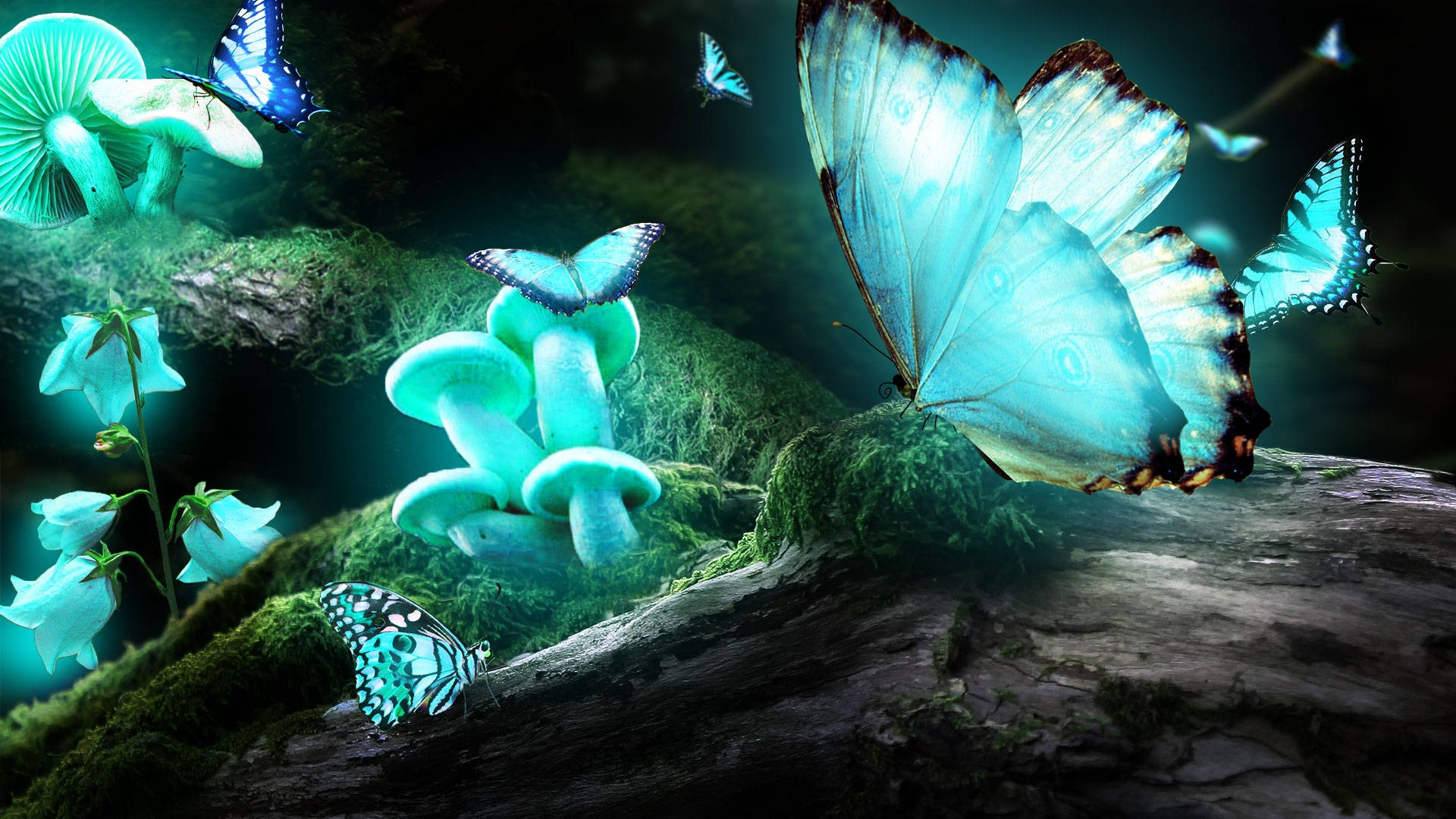 Turquoise Night Butterfly And Mushrooms Wallpaper