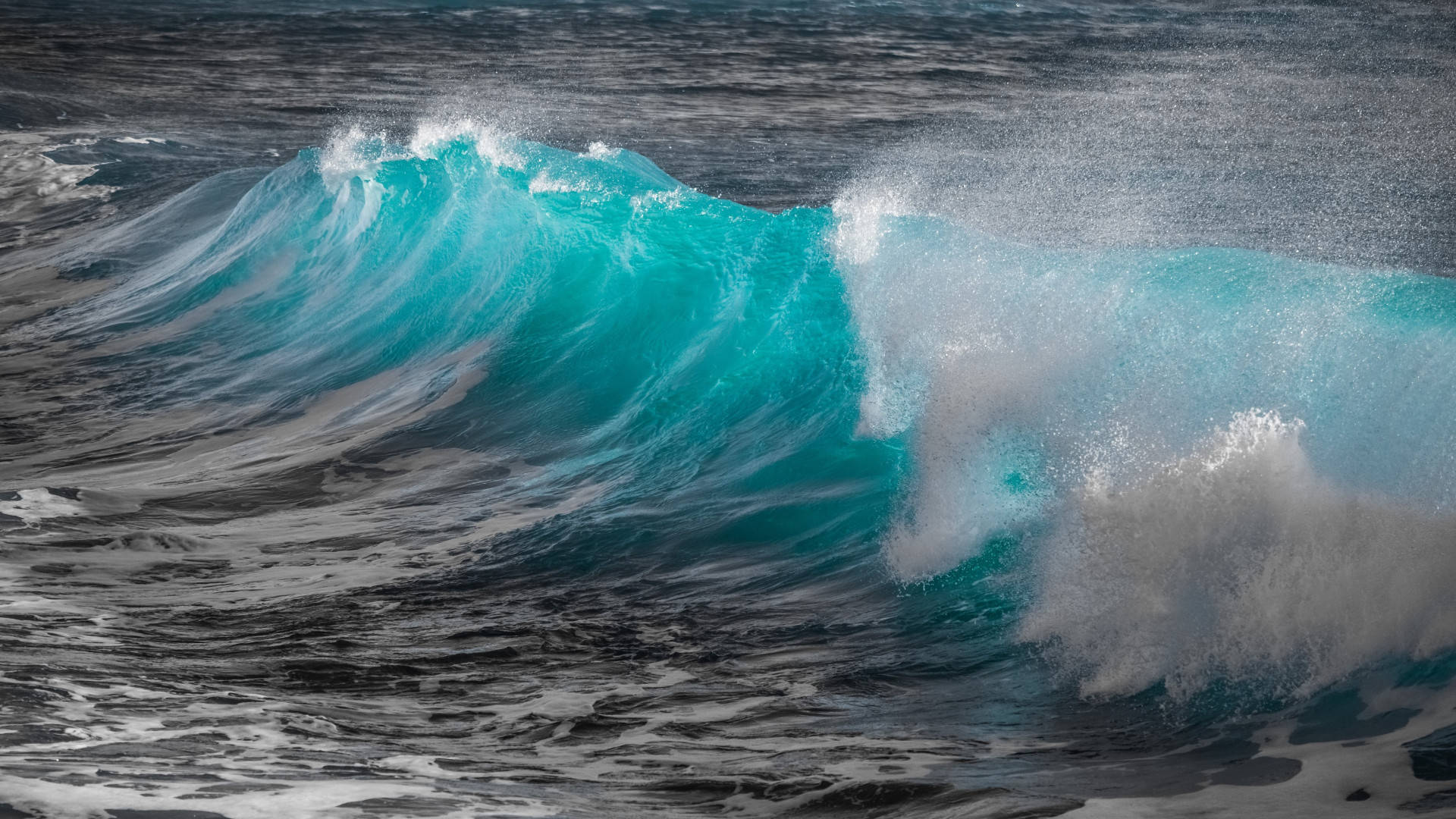 Turquoise Ocean Wave Wallpaper