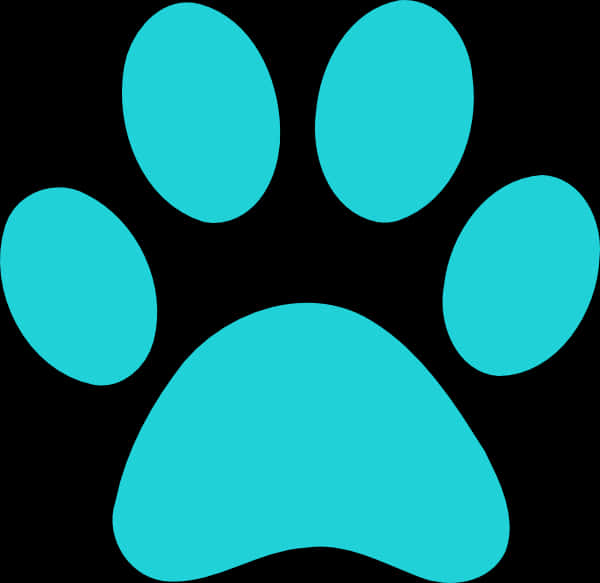 Turquoise Paw Print Graphic PNG