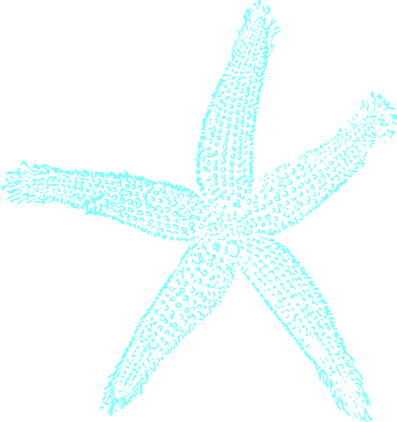 Turquoise Starfish Clipart PNG