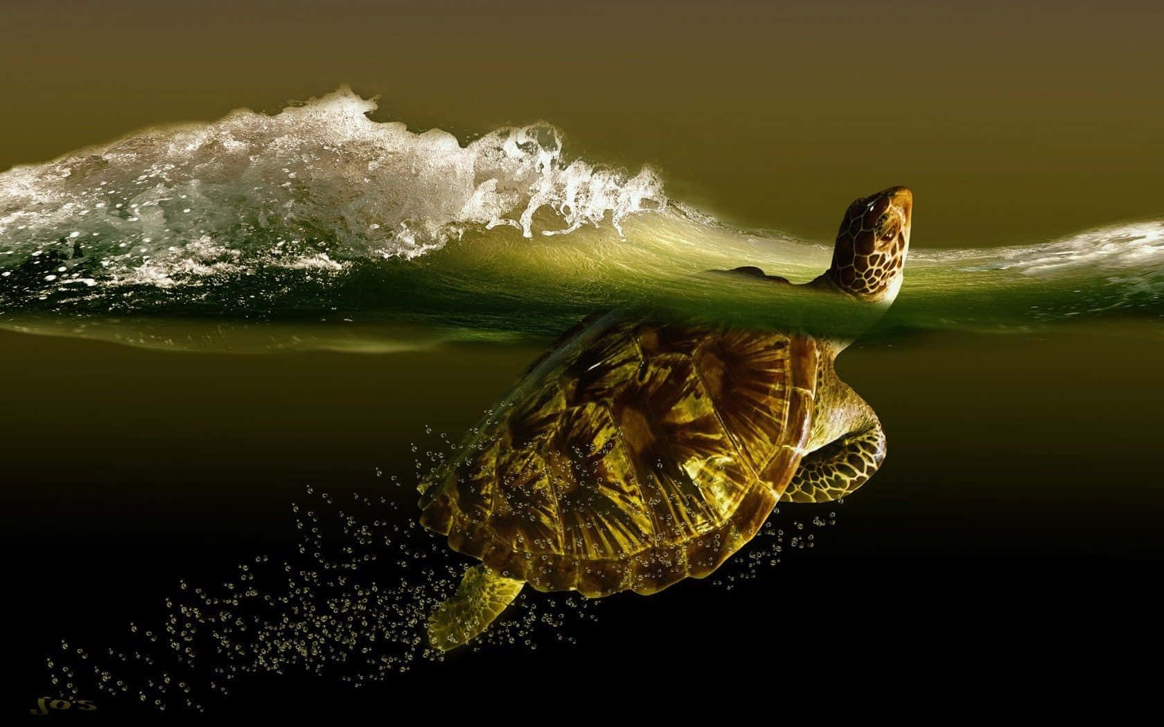 Eineschildkröte, Die Im Ozean Mit Wellen Schwimmt.