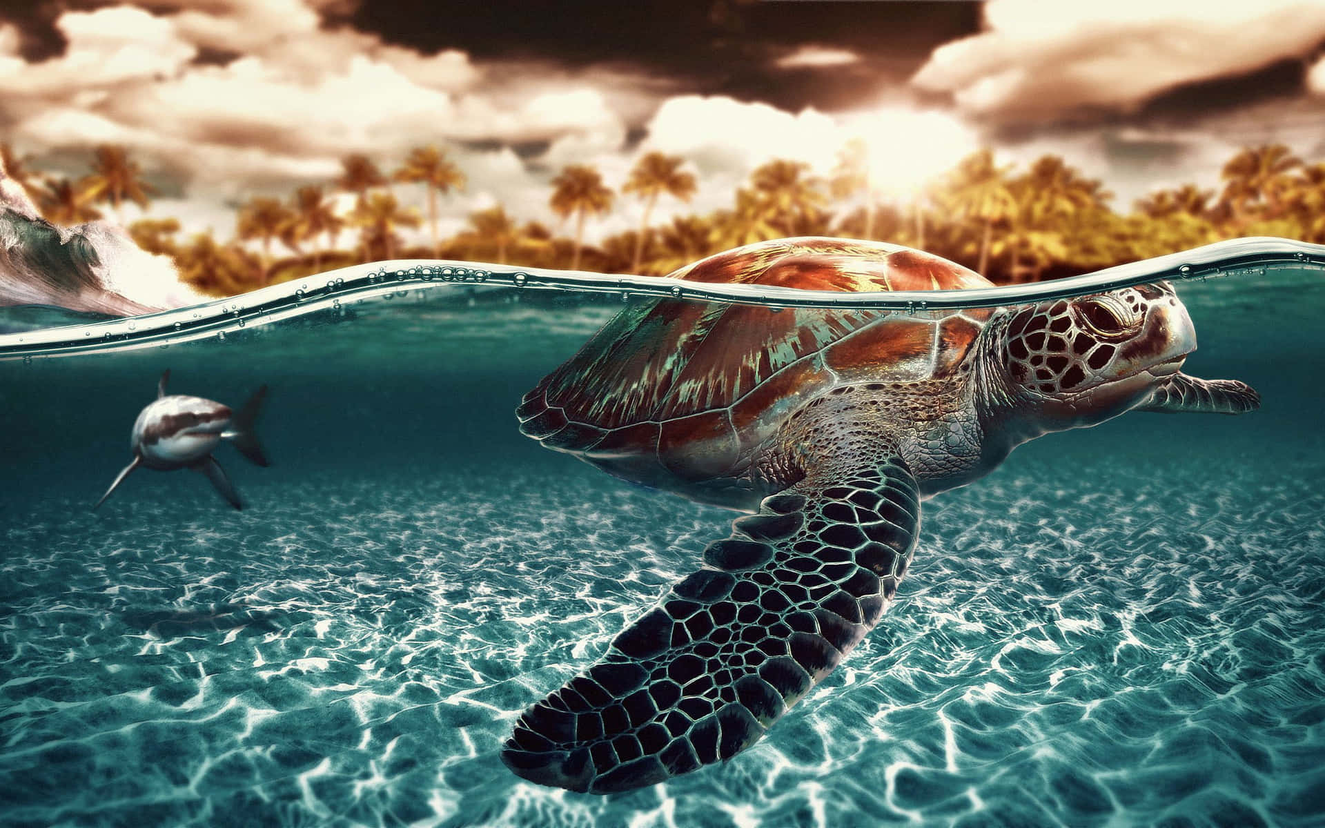 Ensköldpadda Som Simmar I Havet Med Delfiner