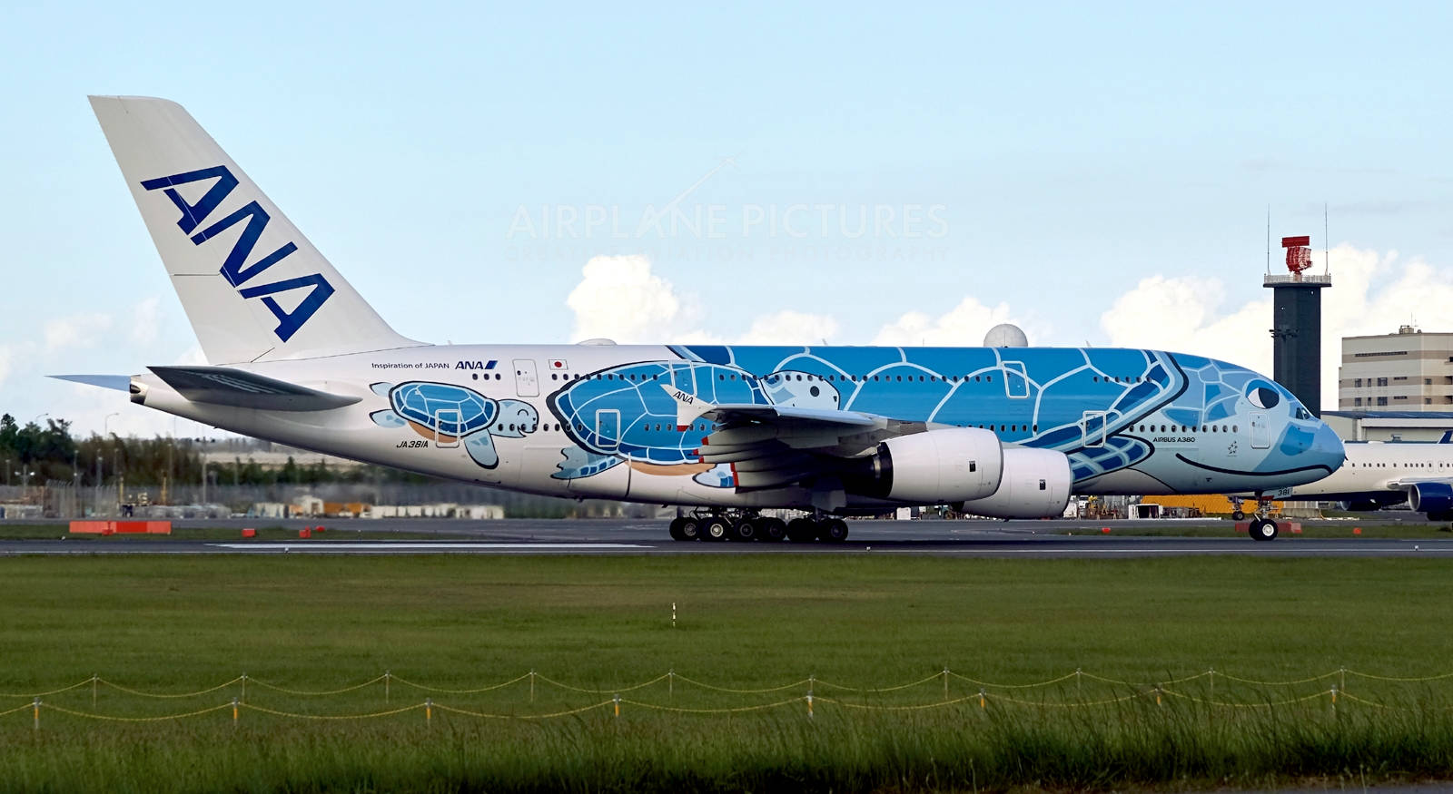 ANA Airlines' Special Turtle-Themed Airplane Wallpaper