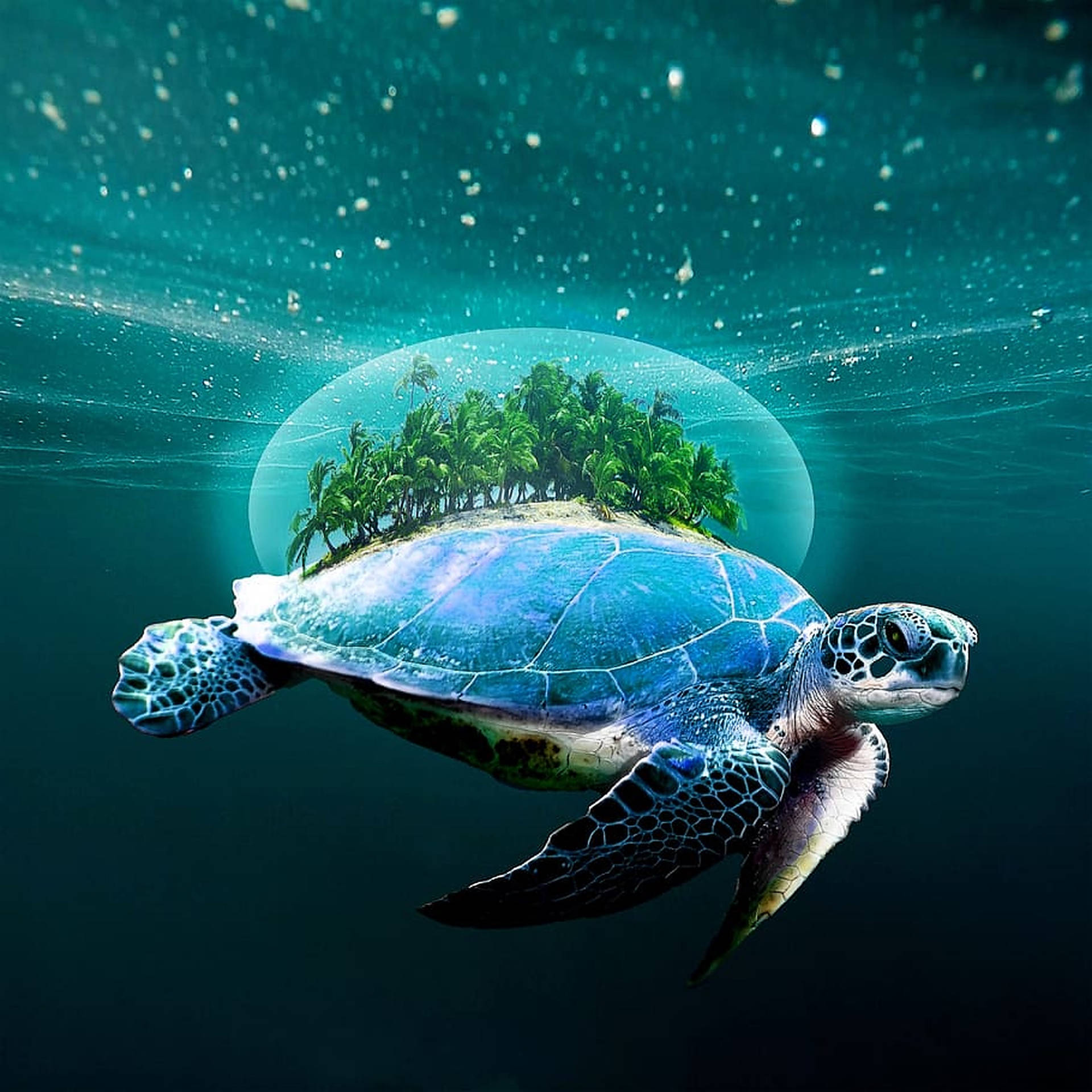 Turtle With Miniature Island Wallpaper