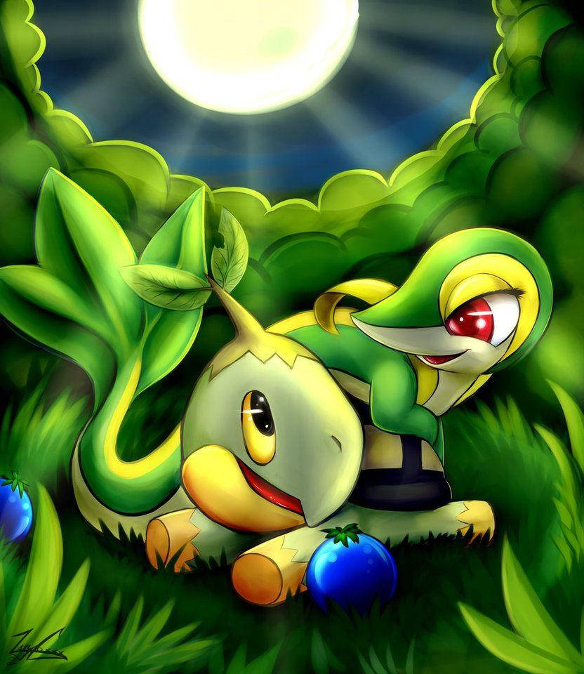 Turtwig With Snivy Under Moon Wallpaper