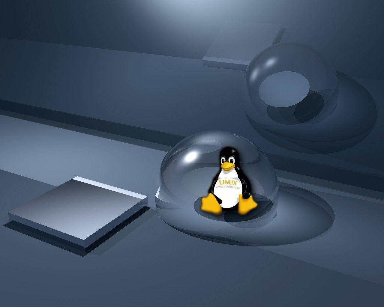 Tuxall'interno Di Una Bolla, Design Digitale Per Desktop Linux. Sfondo