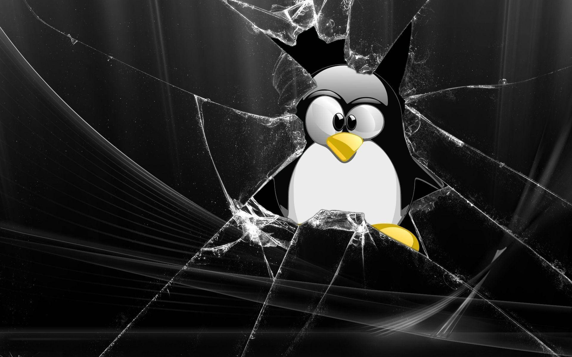 Tux On A Broken Glass Linux Desktop Background