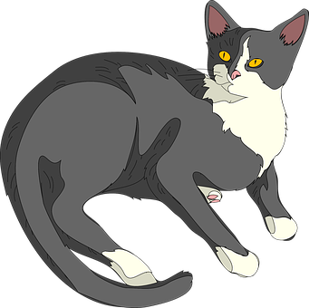 Tuxedo Cat Illustration PNG
