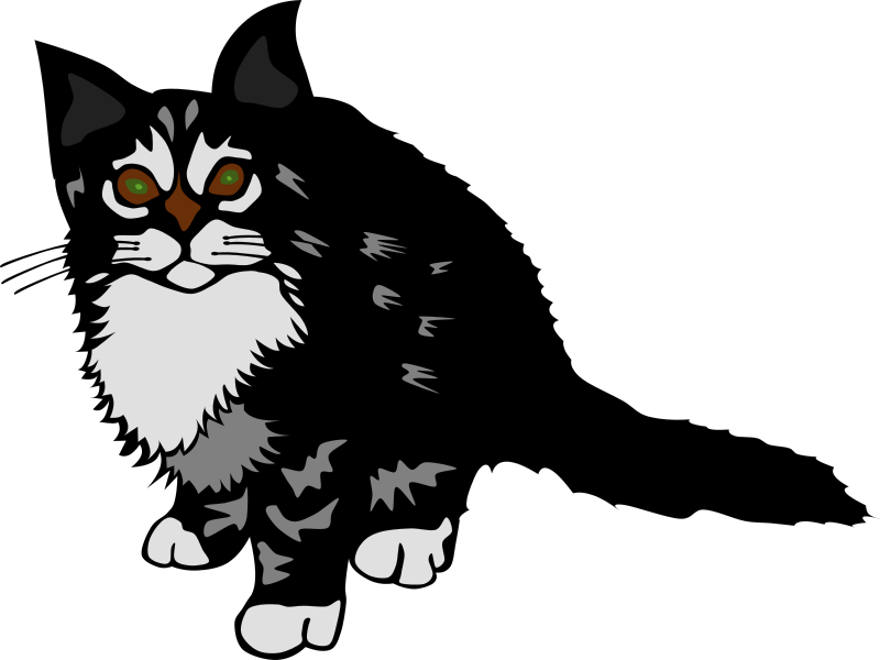 Tuxedo Kitten Illustration PNG