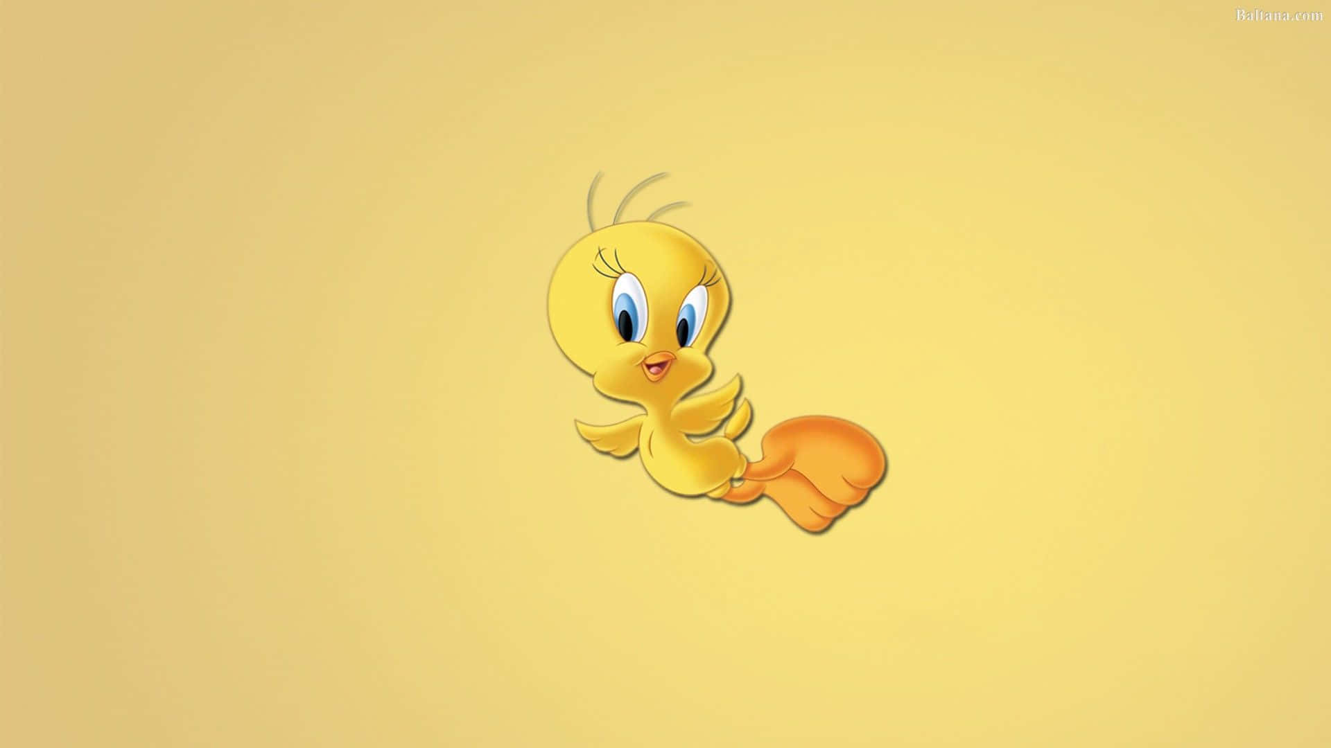 Cartoon Looney Tunes Tweety Bird Movie Star Graphic Background Desktop Hd  Wallpaper 19201080  Wallpaperbetter