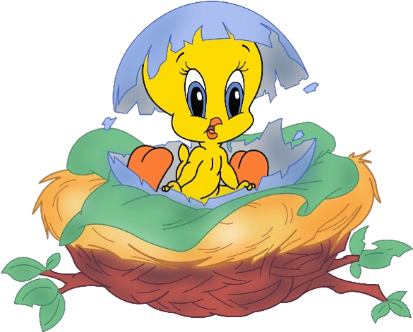 Tweety Bird Hatchingfrom Egg PNG