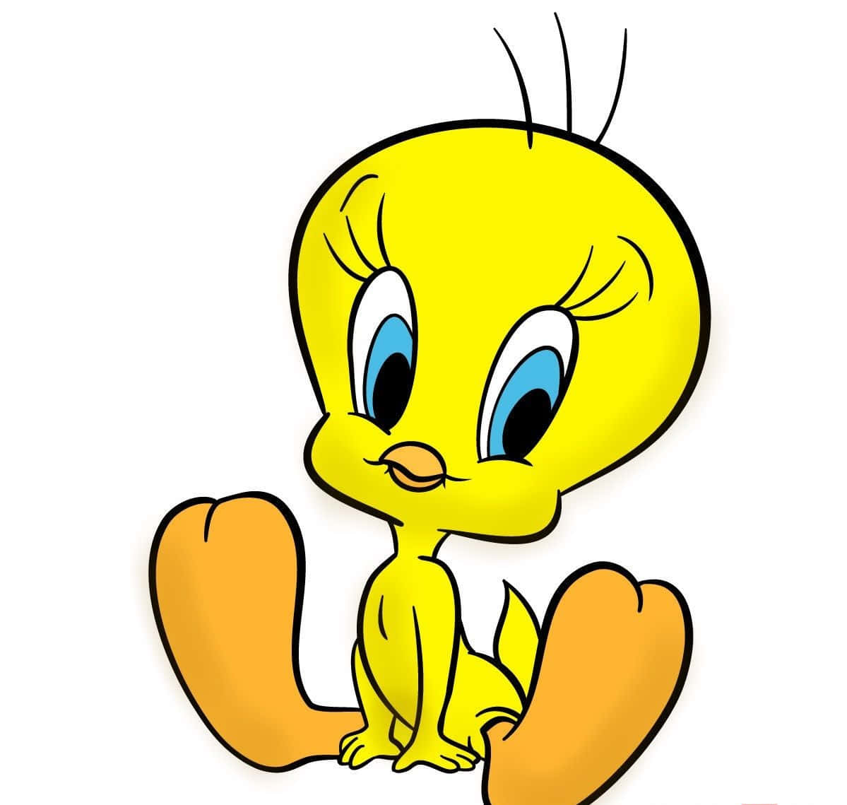 Download The one and only Tweety Bird! | Wallpapers.com