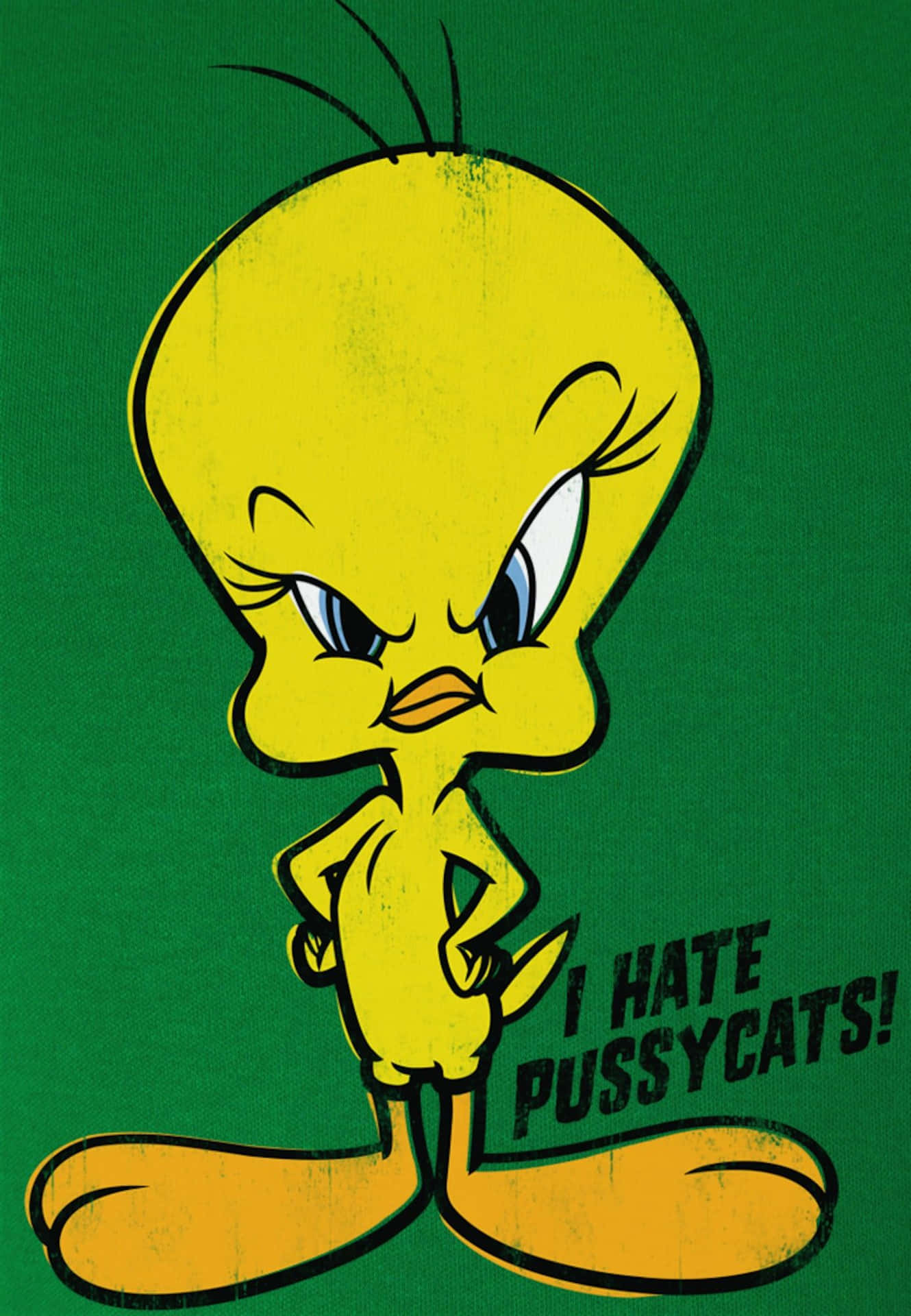 a cartoon bird with the words i hate pussycats