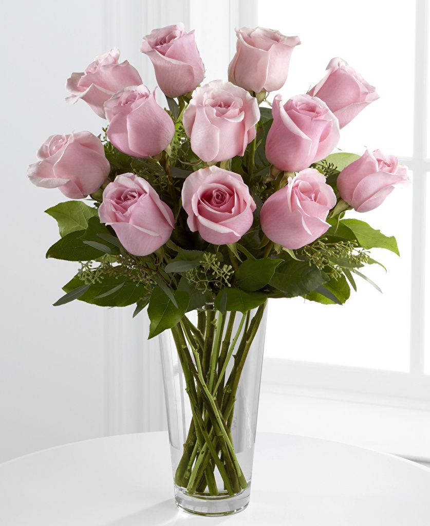 Docerosas Rosadas En Un Jarrón De Flores. Fondo de pantalla