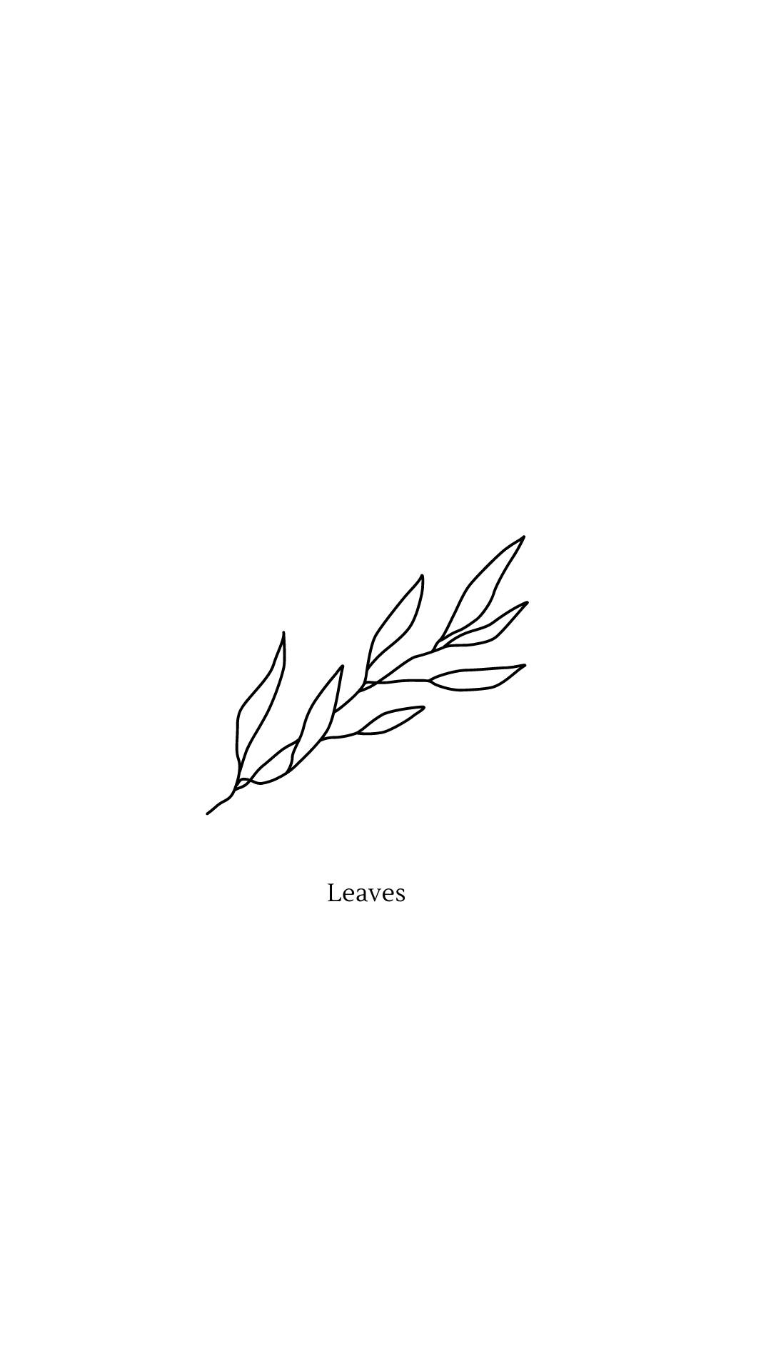 Twig Of Leaves In Cute White Aesthetic