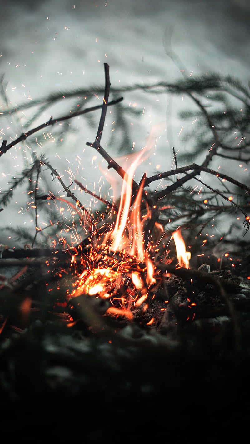 Twigs Burning Campfire Wallpaper