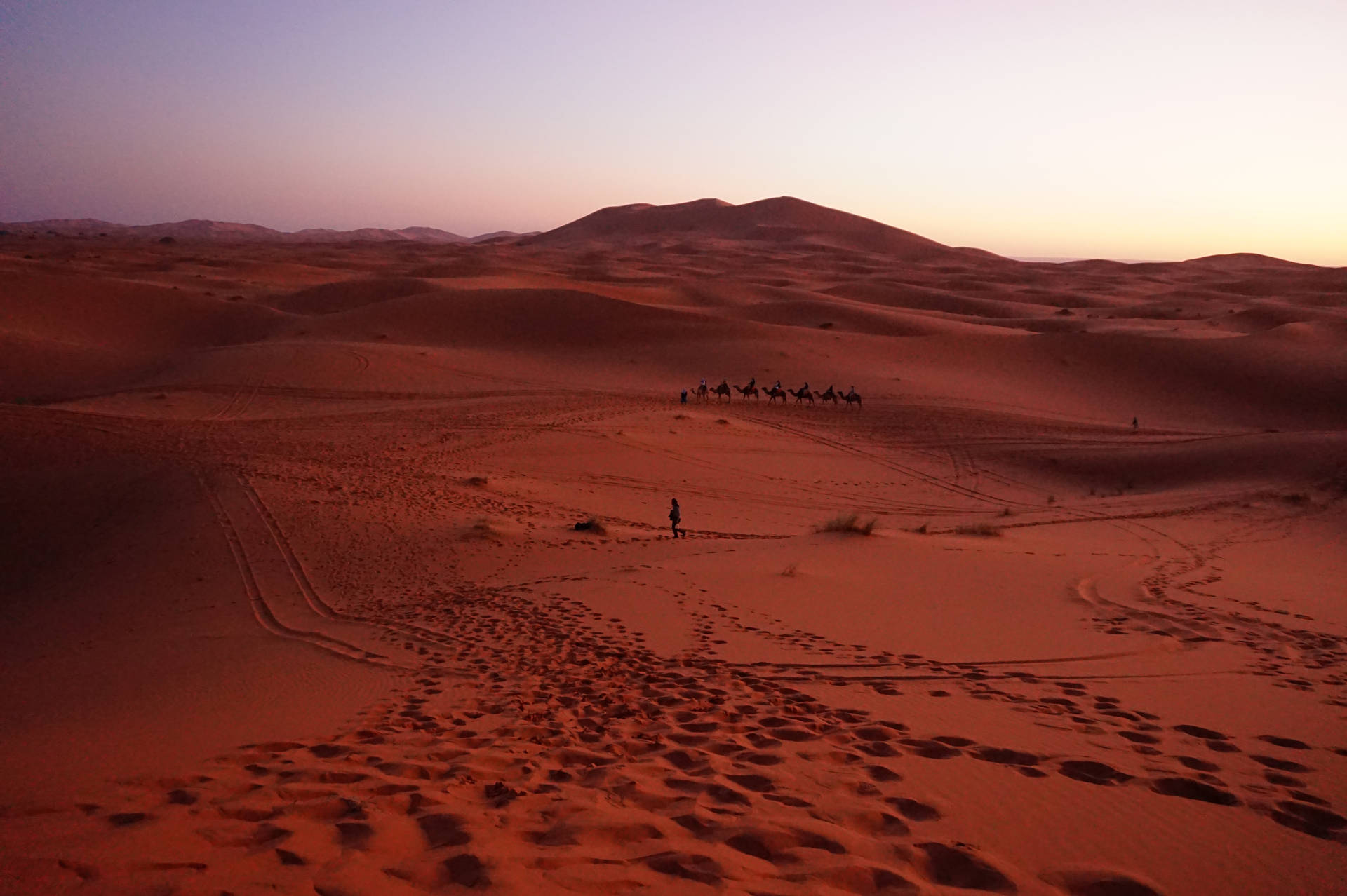 Crepúsculoen El Sahara Fondo de pantalla