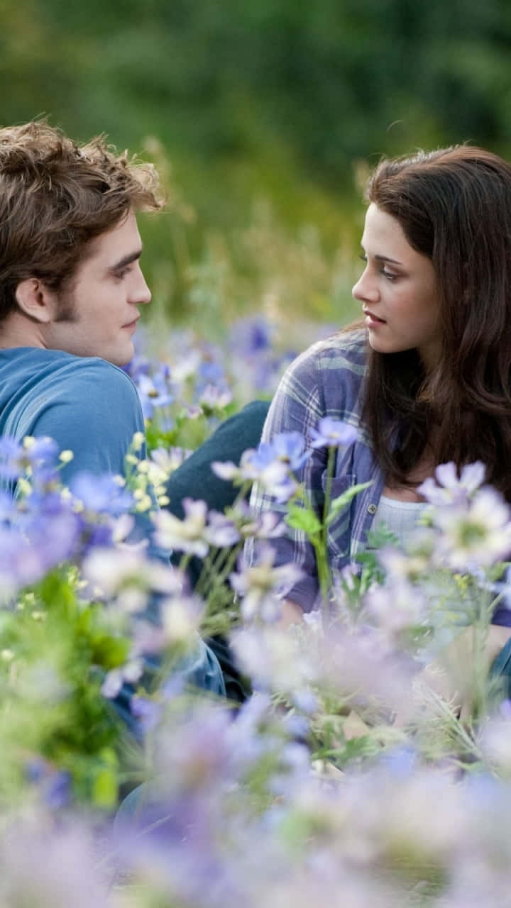 Twilight Meadow Intimate Conversation Wallpaper