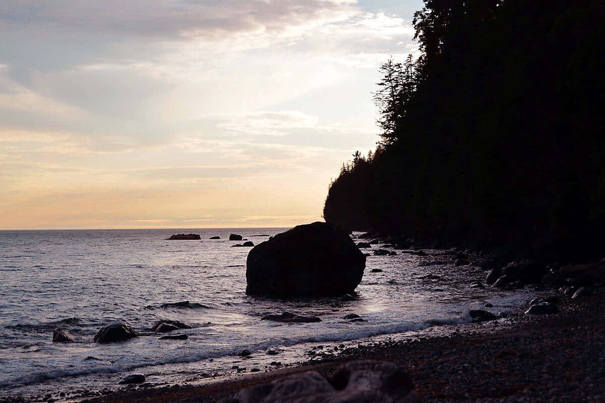 Twilight Shoreline Silhouette Wallpaper