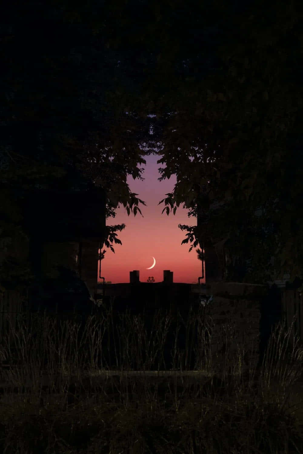 Twilight Silhouette Nature Scene Wallpaper