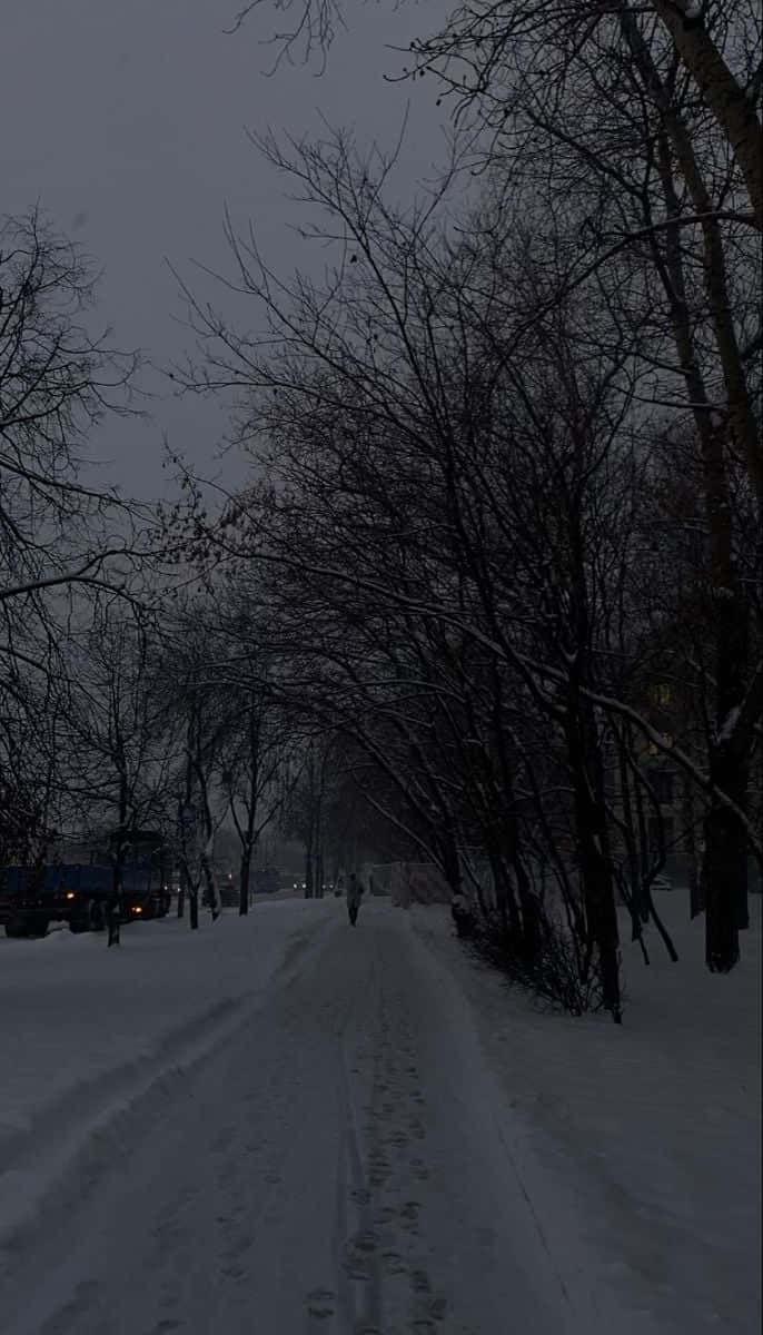 Sentier Enneigé Au Crépuscule Fond d'écran