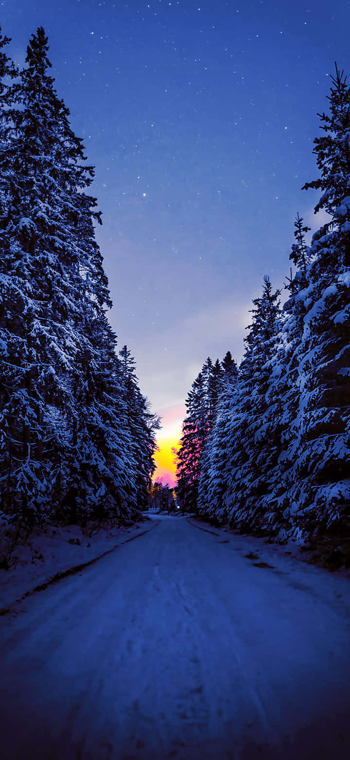 Sentier Enneigé Au Crépuscule.jpg Fond d'écran