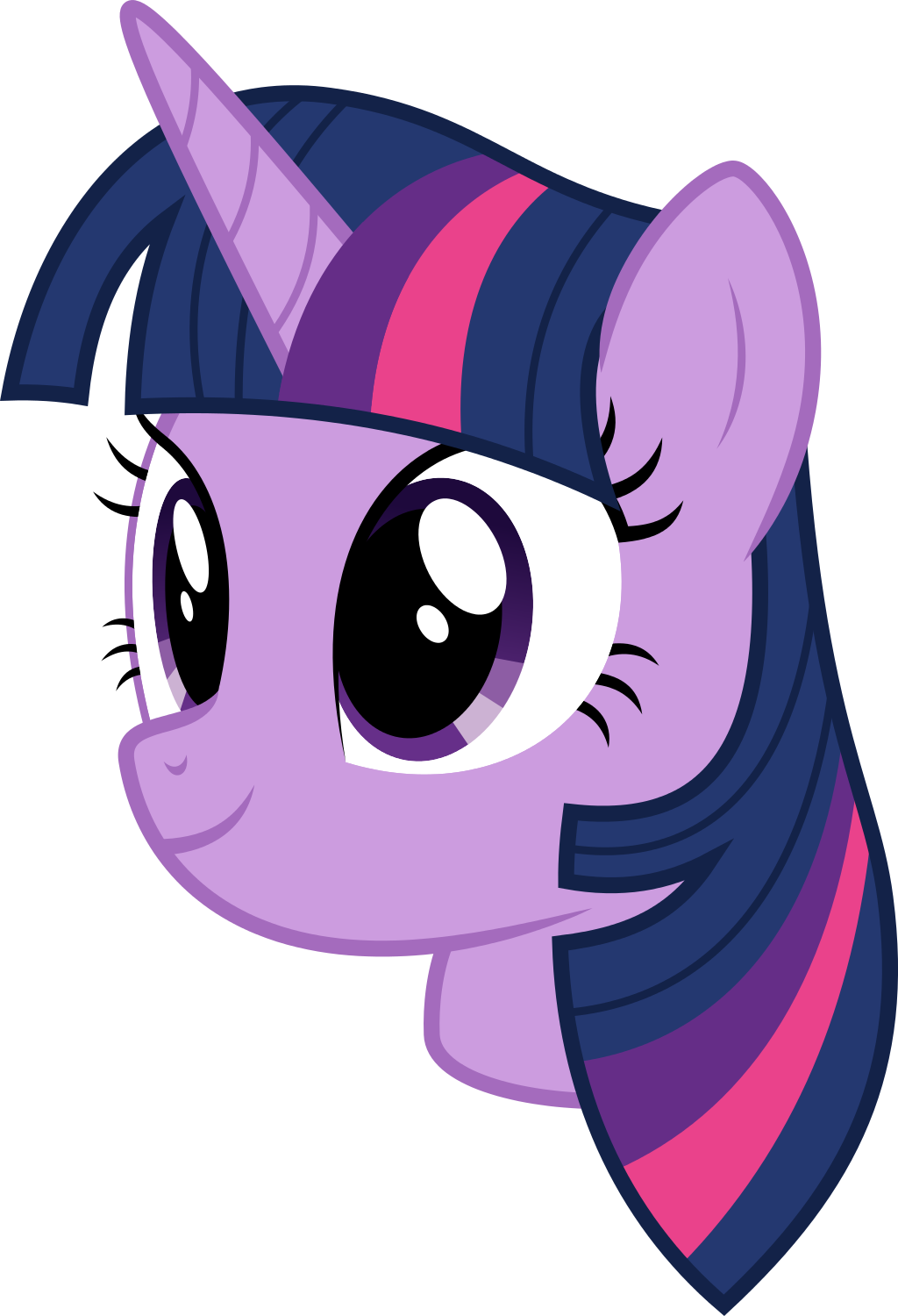 Twilight Sparkle Portrait PNG