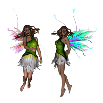 Twin Fairies Sparkling Wings PNG