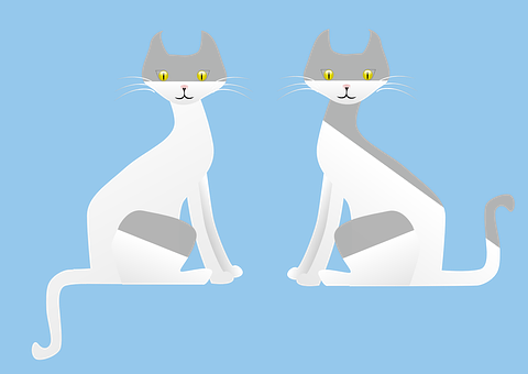 Twin Gray Cats Illustration PNG