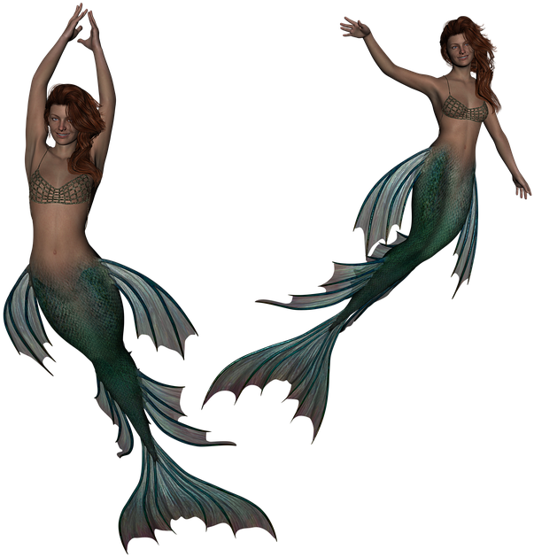 Twin Mermaids Illustration PNG