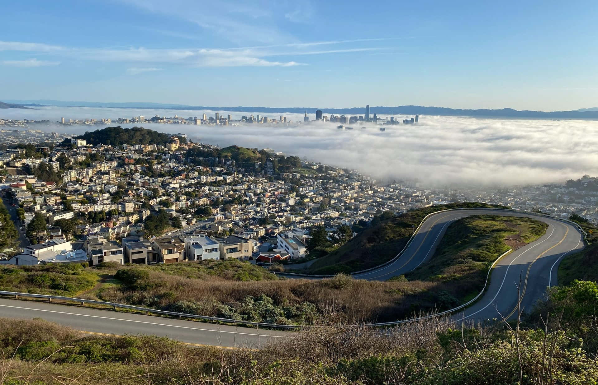 Twin Peaks View San Francisco Fog Wallpaper