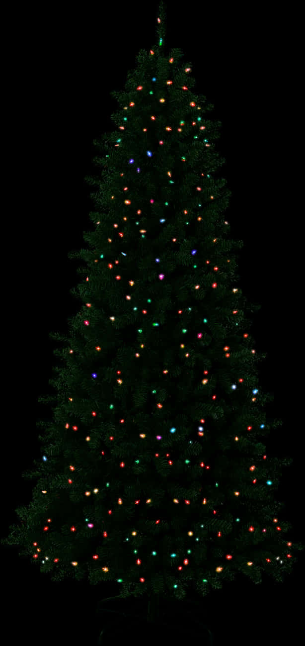 Twinkling Christmas Tree Lights PNG