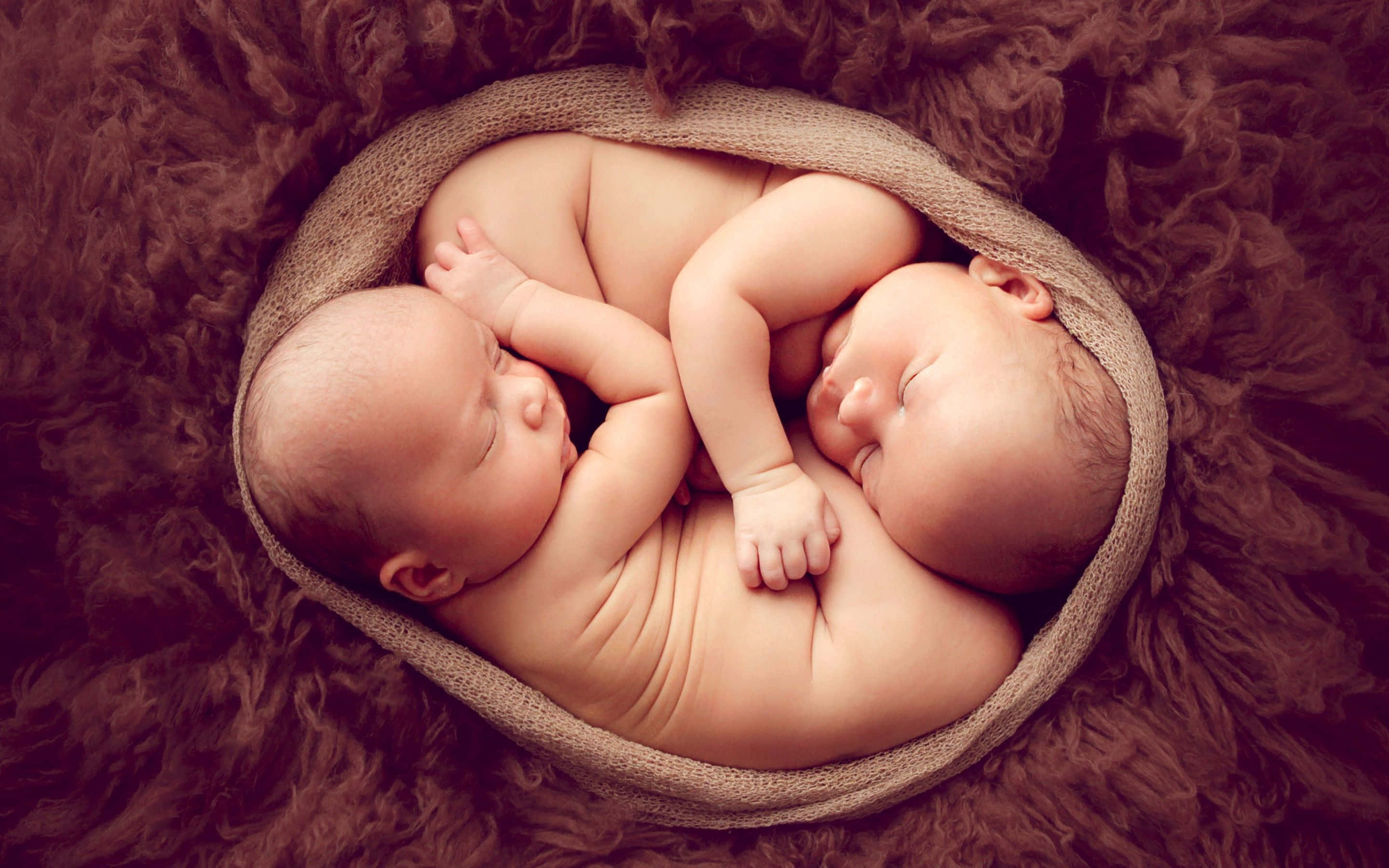 Adorable twin babies sleeping peacefully side by side