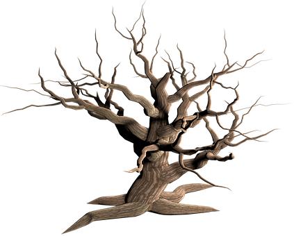 Twisted Bare Tree Black Background PNG