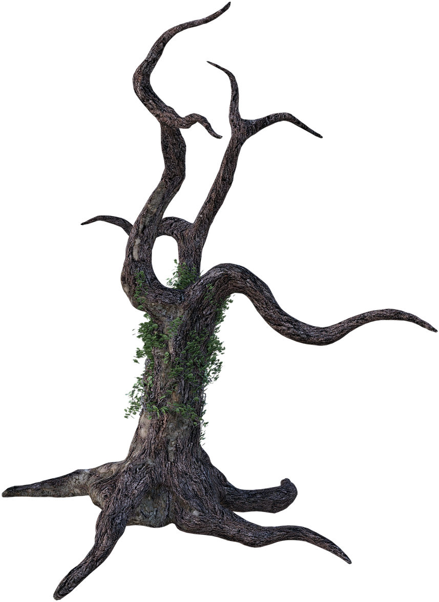 Twisted Bare Treewith Green Foliage PNG