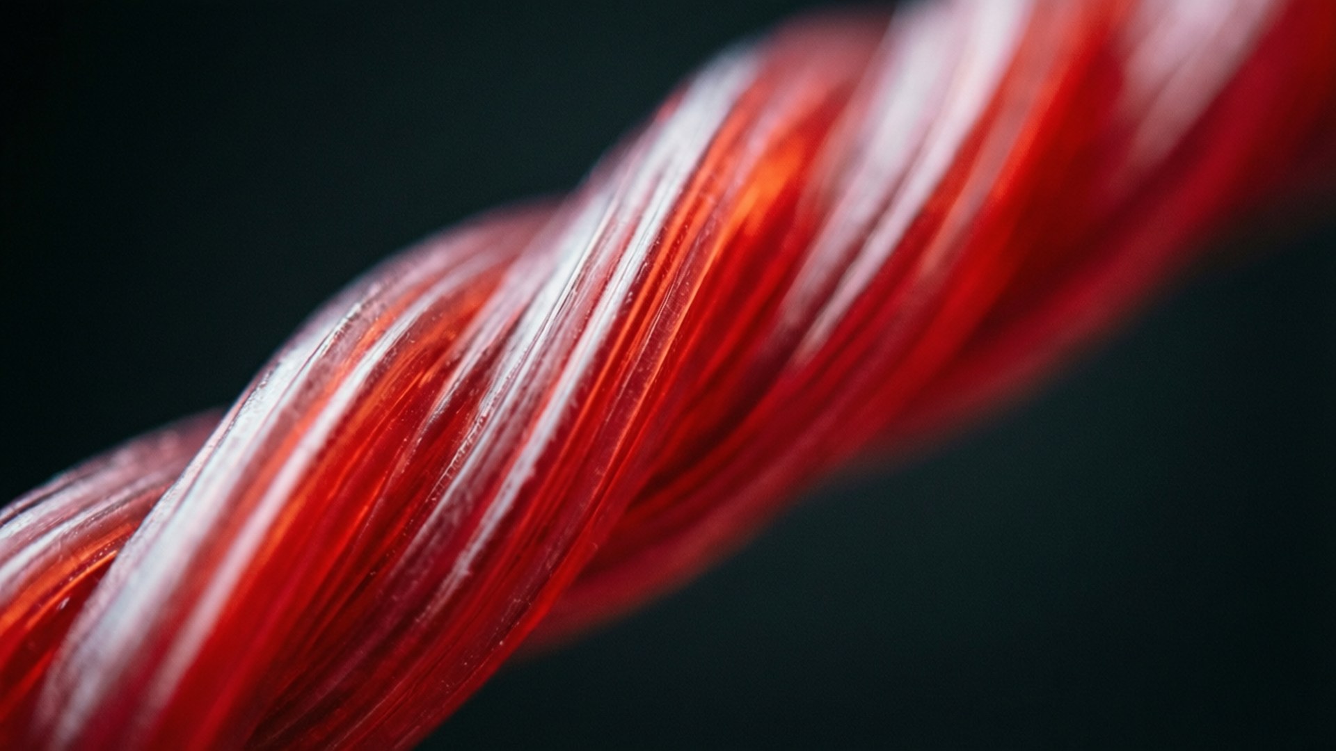 Twisted Macro Detalle Fondos de pantalla