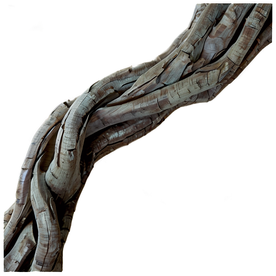 Twisted Tree Branch Png Wyw PNG