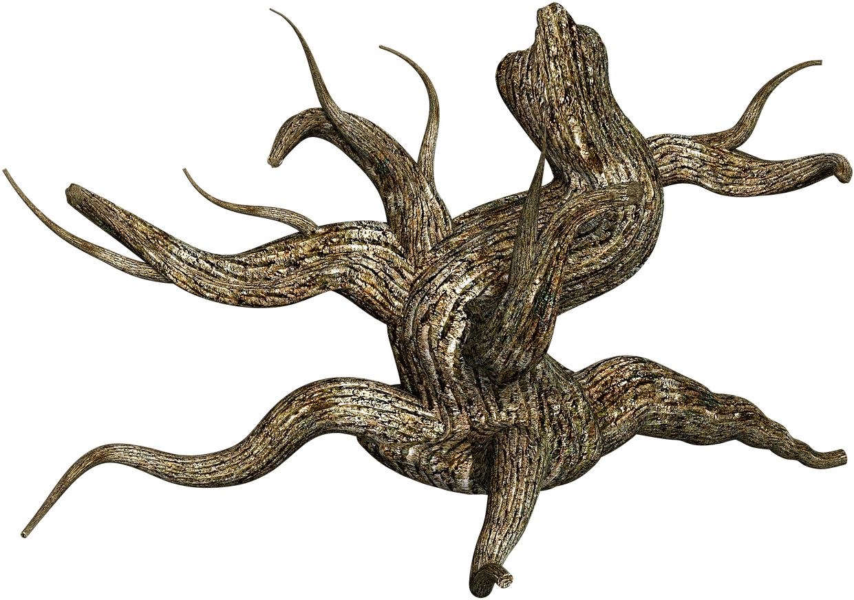 Twisted Tree Trunk Artwork PNG